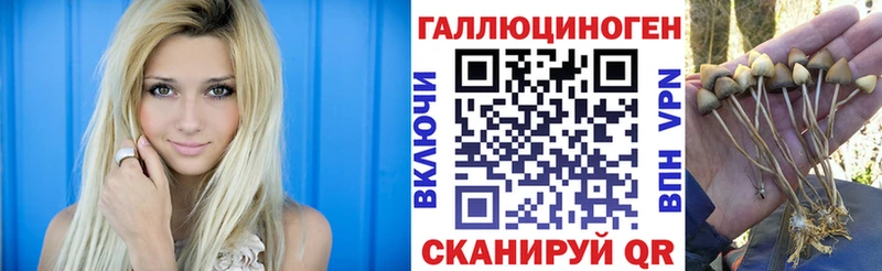 Псилоцибиновые грибы MAGIC MUSHROOMS Олонец